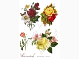 Decoupage paper- flowers 18